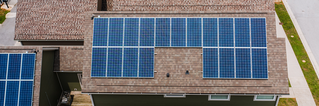 Comunidades solares, claves en el camino hacia la transición energética